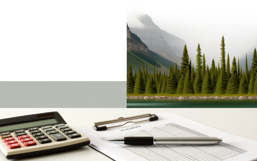 Essential Accounting Services for Small Businesses in Saskatoon
