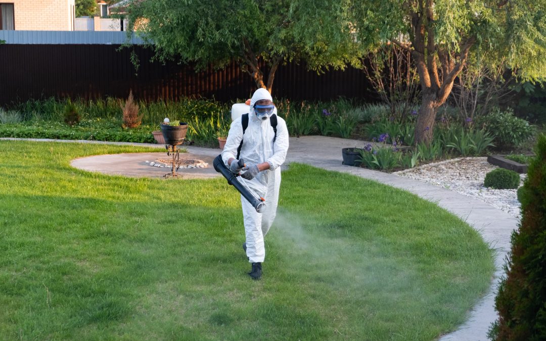 The Ultimate Guide to the Best Mosquito Control Companies in West Palm Beach