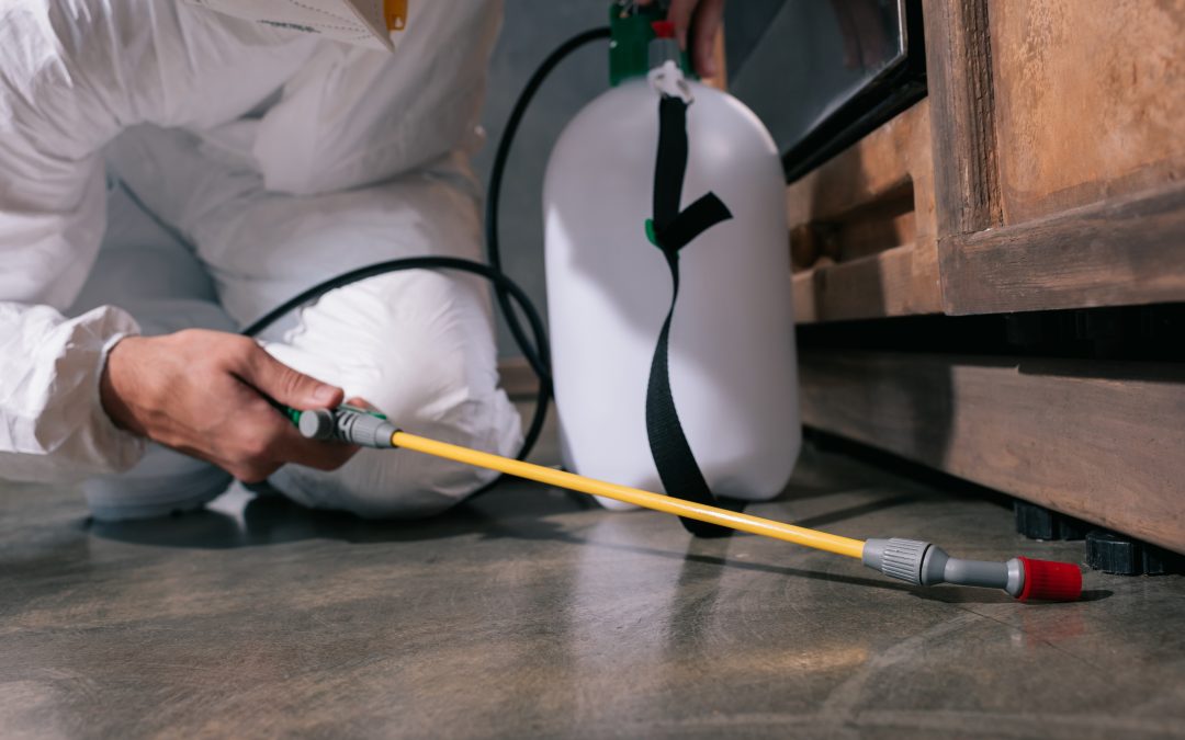 What is the Best Residential Pest Control Company in West Palm Beach?